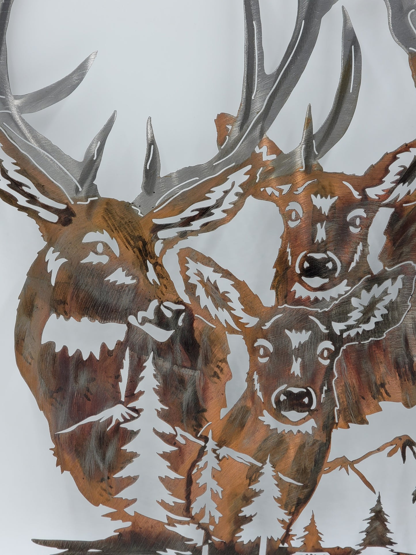Close up view.