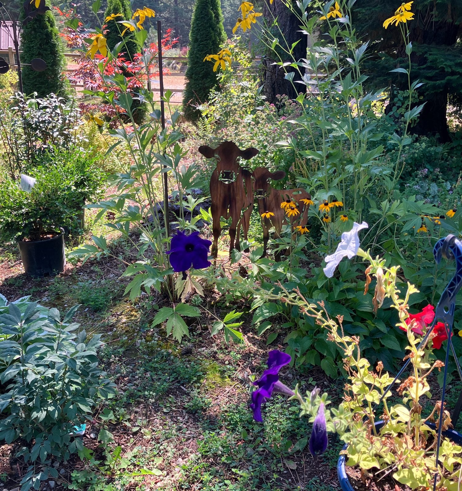 A garden scene with two small brown calf statues among tall green plants, purple flowers, yellow wildflowers, and trees in the background. This one has stakes attached to the feet so they are inserted into the ground.